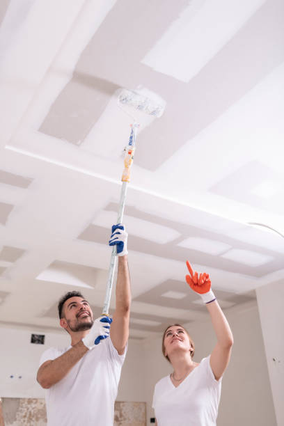 Best Biohazard Mold Removal  in Lewisburg, KY