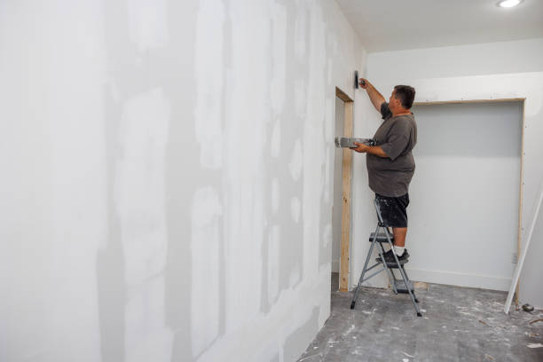 Best Attic Mold Removal  in Lewisburg, KY