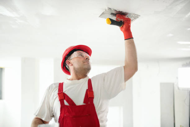 Mold Remediation for Vacation Homes in Lewisburg, KY