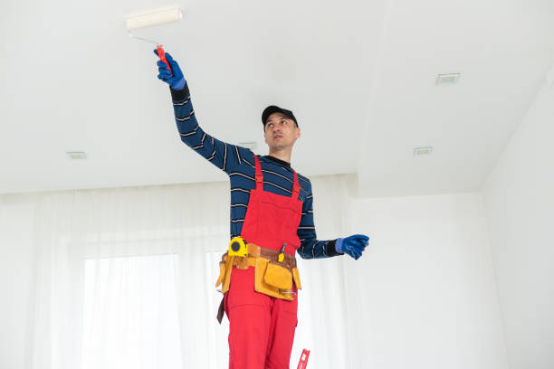 Biohazard Mold Removal in Lewisburg, KY